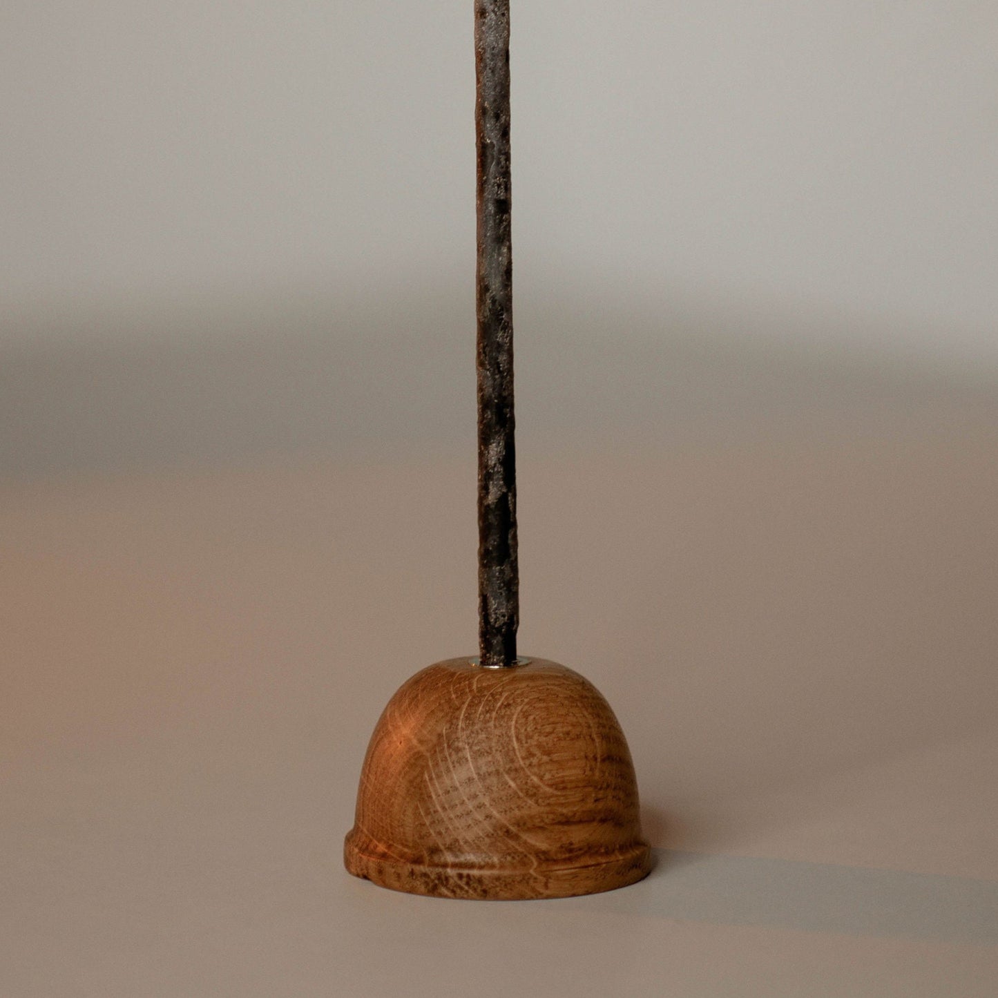 Ąžuolo žvakidė šviesi