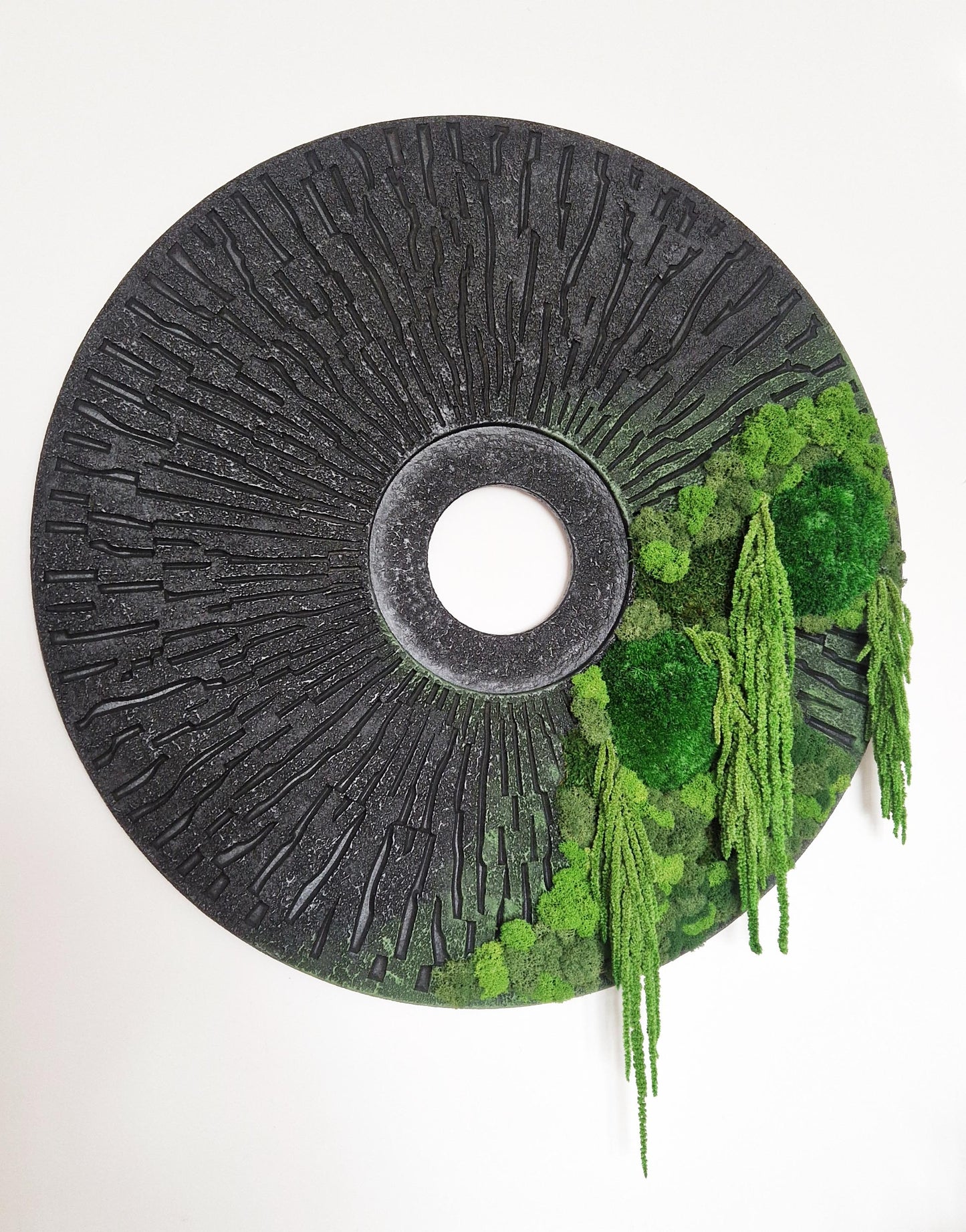 ,,Miško akis'' su burnočiais