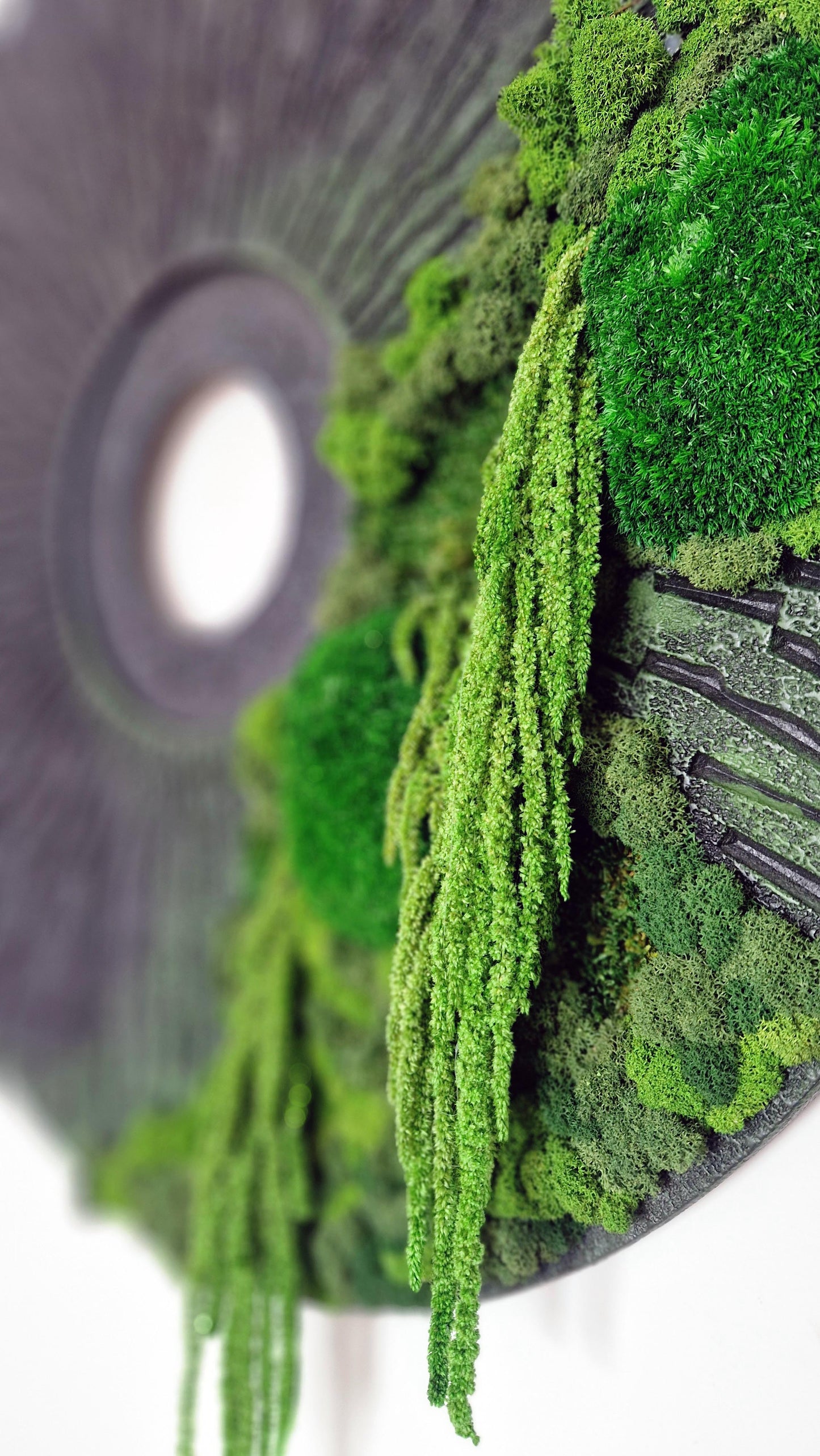 ,,Miško akis'' su burnočiais