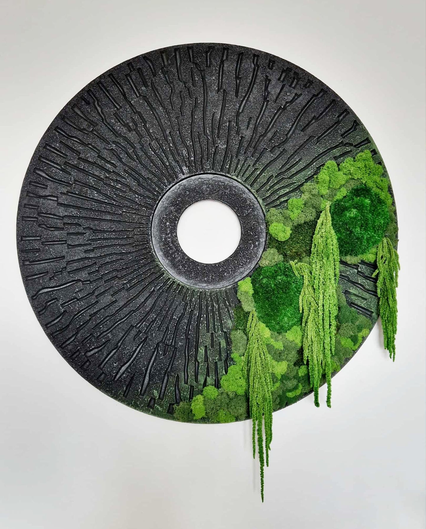 ,,Miško akis'' su burnočiais